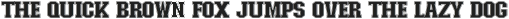 Collge Combined Font Regular otf (400)