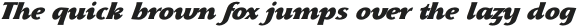 Skiff Black Italic otf (900)