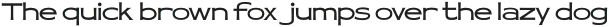 Widebrush Thin otf (100)