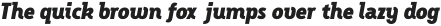 VTCFellbaumGroteskItalic-Black otf (900)
