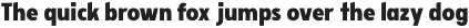 VTCFellbaumGrotesk-Black otf (900)
