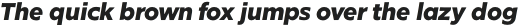 Glot Round Bold Italic otf (700)