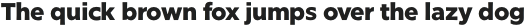 Glot Round Bold otf (700)