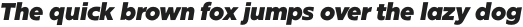 Glot Round Black Italic otf (900)