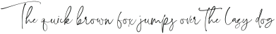 Boho Signature Script Font otf (400)