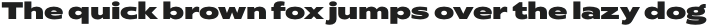 Radiate Sans ExtraBold Expanded otf (700)