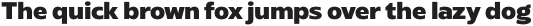 Radiate Sans ExtraBold otf (700)