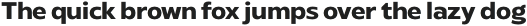 Radiate Sans Bold otf (700)