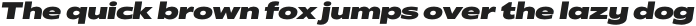 Radiate Sans ExtraBold Expanded Italic otf (700)