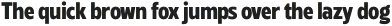 Radiate Sans ExtraBold Condensed otf (700)