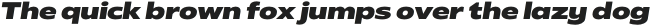 Radiate Sans ExtraBold Semi Expanded Italic otf (700)