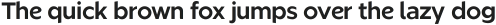Dumont Display Semi Bold ttf (600)