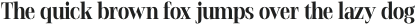 Stigsa Display Extra Bold Condensed otf (700)
