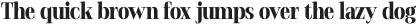 Stigsa Display Heavy Condensed otf (800)