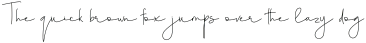 Shears otf (400)
