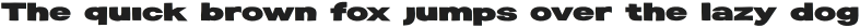 Etapi Sans Rough otf (400)