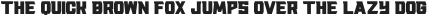 NFCRackis-Bold otf (700)