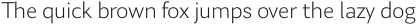 Laca Text Light otf (300)