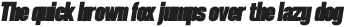 SEBLACK Black Oblique otf (900)
