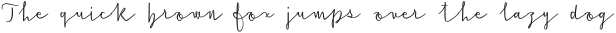 Cursive Signa Script Reg otf (400)