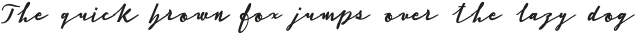 Cursive Signa Script Black Italic otf (900)