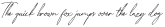 Cloudy Aurora Script otf (400)