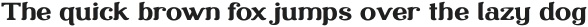Librarium Bold Extended otf (700)
