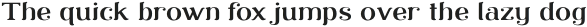 Librarium Light Extended otf (300)