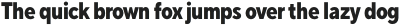 TT Norms Std Condensed ExtraBold otf (700)