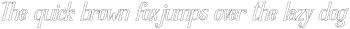 Dolphins Outline Light Italic otf (300)