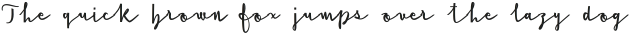 Cursive Signa Script Bd ttf (700)