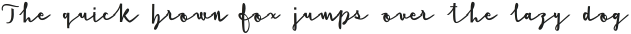 Cursive Signa Script Extra Bold ttf (700)