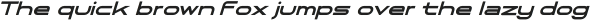 Racer Boy Extra Bold Italic otf (700) Sample