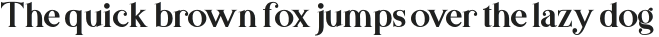 BasicsSerif-Regular otf (400)