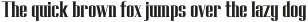 HOLOGRAM Display Serif otf (400)