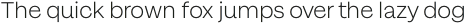Magazine Grotesque Light otf (300)