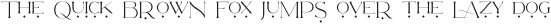 LAMORE Light otf (300)