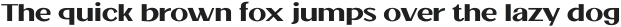 Jollin Family Medium Expand otf (500)