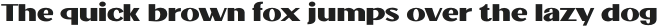Jollin Family Bold Expand otf (700)
