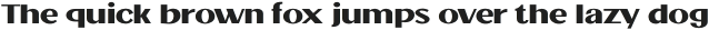 Jollin Family SemiBold Expand otf (600)