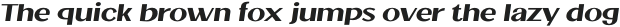 Jollin Family Medium Expand Italic otf (500)