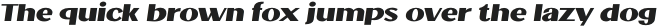 Jollin Family Bold Expand Italic otf (700)