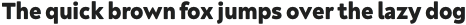 Neufreit ExtraBold otf (700)