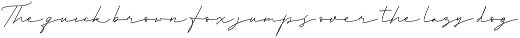 Raimond - Elegant Script preview