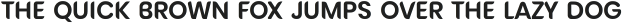 NOMA Regular ttf (400)