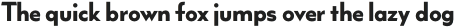 Wright Roman ExtraBold It otf (700)