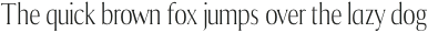 Tonic bold-italic otf (700)