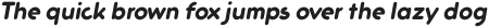 Trakya Rounded Alt 900 Bold Italic otf (700)