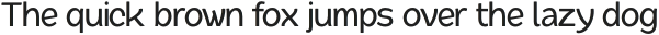 Quache Medium Condensed otf (500)