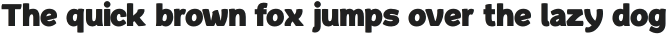 Quache Heavy Condensed otf (800)